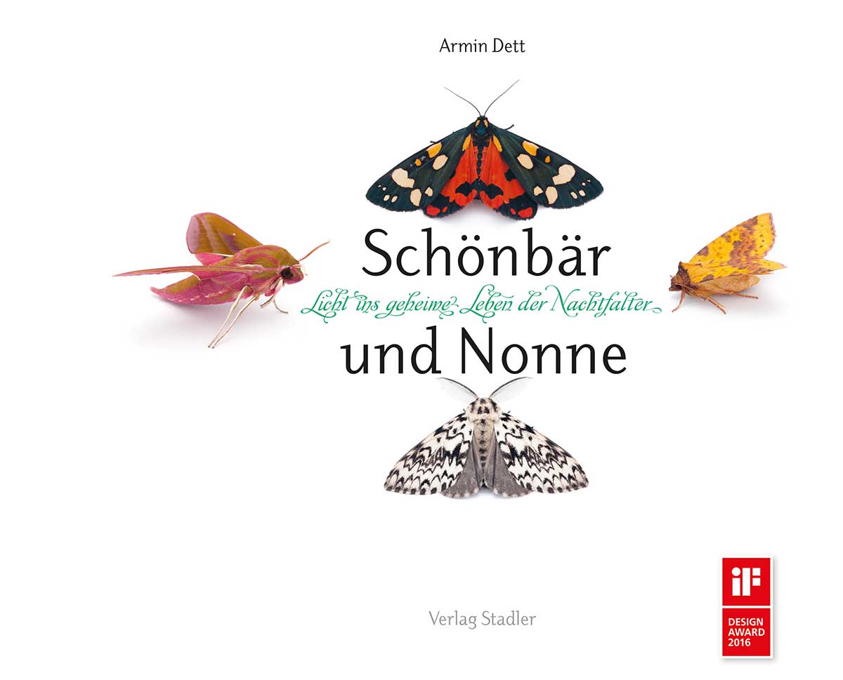 Schönbär und Nonne