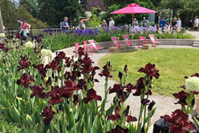 Landesgartenschau Überlingen 2021