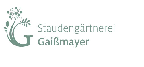 Vom Zauber der Iris, Staudengärtnerei Gaißmayer